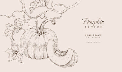 Obraz premium Background with pumpkin with flowers and leaves. Line art hand drawn illustration of botanical elements of farm and autumn. Fall and cozy seasonal designs