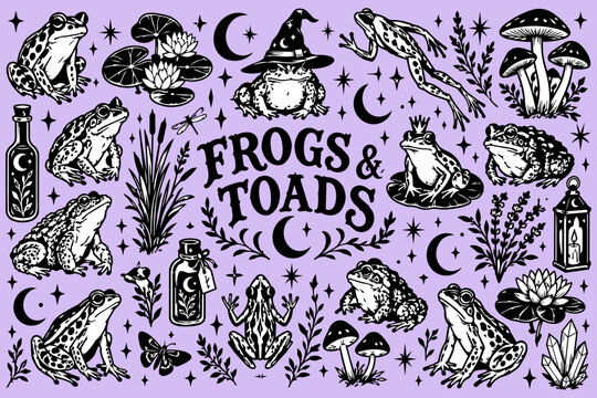 Frogs & toads vintage illustration in a black pen and ink vector style, set of magical nature icons