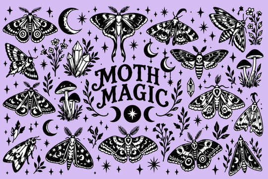 Moth magic vintage illustration set in a pen and ink sketchy style, magical tattoo flash sheet 