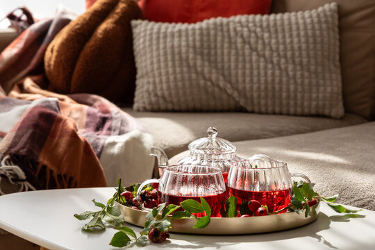 Cozy home scene with rosehip tea set and warm blankets on sofa