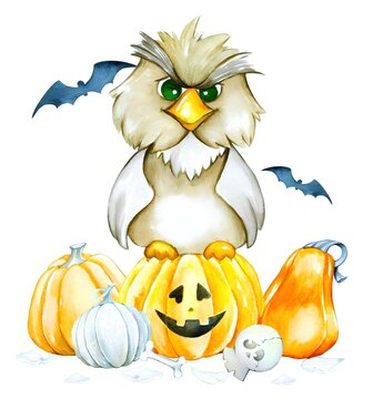 Halloween owl with pumpkin