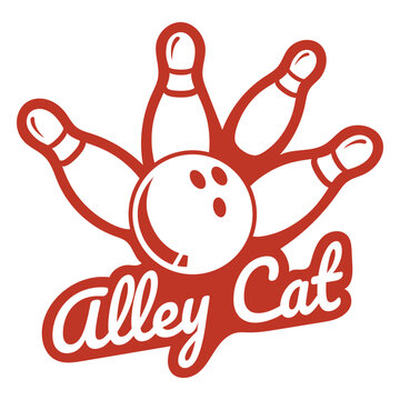 Alley cat cut out quote