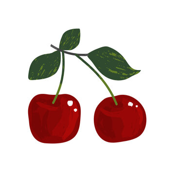 Red cherry pair with green leaves isolated on white background in hand drawn vector style