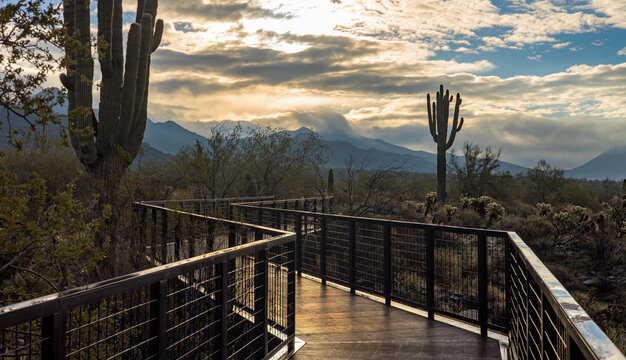 Foot Bridge Over Desert Wash At Gateway Trailhead In North Scottsdale AZ