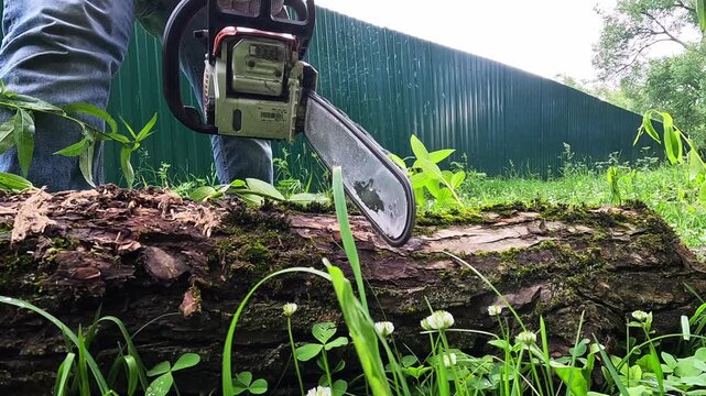 Hand holds chainsaw above log in grassy yard. Person cuts through thick bark with steady motion. Green fence and clover surround the work area. Ideal for outdoor labor, forestry, or DIY projects
