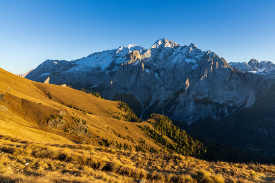 A view of Marmolada from the ridge above Passo Pordoi on a sunny autumn evening, with golden meadows.