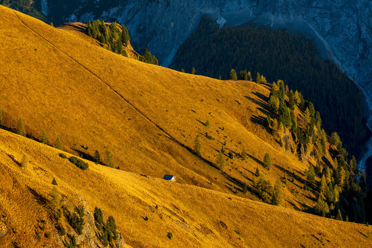 A detail of a wooded slope above Passo Pordoi on a sunny autumn evening, featuring trees, golden meadows, and a mountain hut.