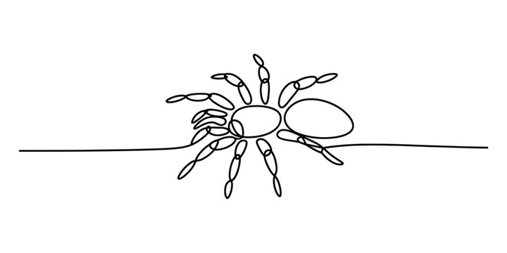 Continuous single line drawing of a tarantula spider walking on a straight path