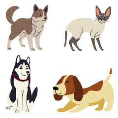 Fototapeta premium Cute vector collection of different dog breeds and a cat in flat style