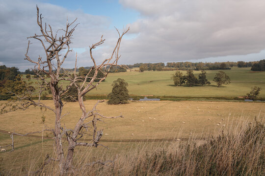 Alnwick countryside landscape views under early‑autumn skies, rolling fields and river valleys captured across Northumberland, September 2026