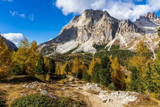 An autumn landscape with golden larches and surrounding mountains on a sunny day with a blue sky near Passo Pordoi in the Dolomites.
