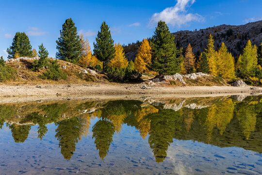 An autumn landscape with golden larches is reflected in the calm waters of Lago di Limedes near Passo Pordoi in the Dolomites.