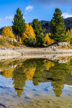 An autumn landscape with golden larches is reflected in the calm waters of Lago di Limedes near Passo Pordoi in the Dolomites.