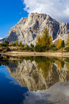 An autumn landscape featuring golden larches and surrounding mountains is reflected in the calm waters of Lago di Limedes near Passo Pordoi in the Dolomites.