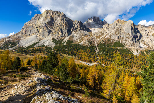 An autumn landscape with golden larches and surrounding mountains on a sunny day with a blue sky near Passo Pordoi in the Dolomites.
