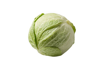 Fototapeta premium Whole Fresh Green Cabbage Head