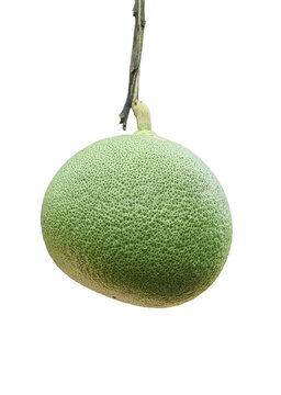 Whole fresh green pomelo fruit with stem isolated on transparent background.