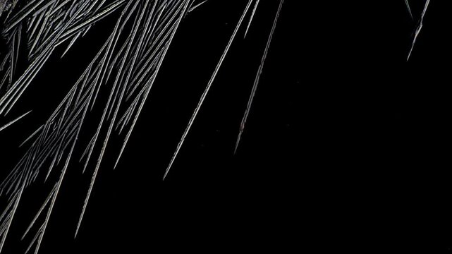 Real time 10x microscope macro of old layer dissolution and explosive growth of new mineral structures with sharp silver needle-like crystals expanding into dark liquid background