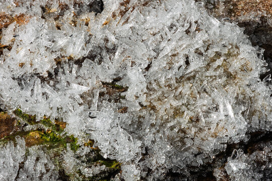 Ice crystals forming on tree bark with moss in winter