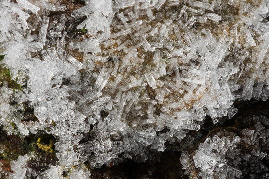 Frost crystals forming on wood bark in winter close-up