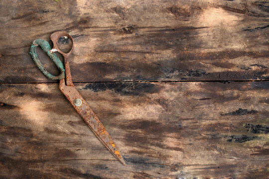 old rusty nails on wood