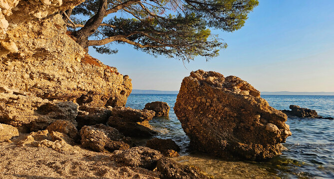 Beautiful photos of the coast in Dalmatia, Croatia, capturing a stunning evening atmosphere with trees and the sea