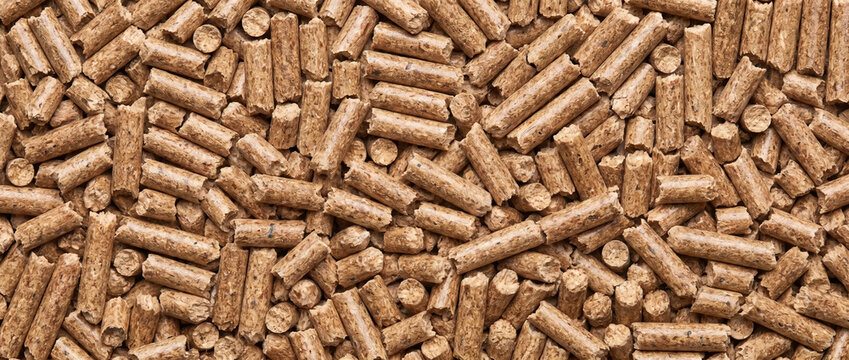 Top view of compressed wood pellets texture. Biomass fuel material background