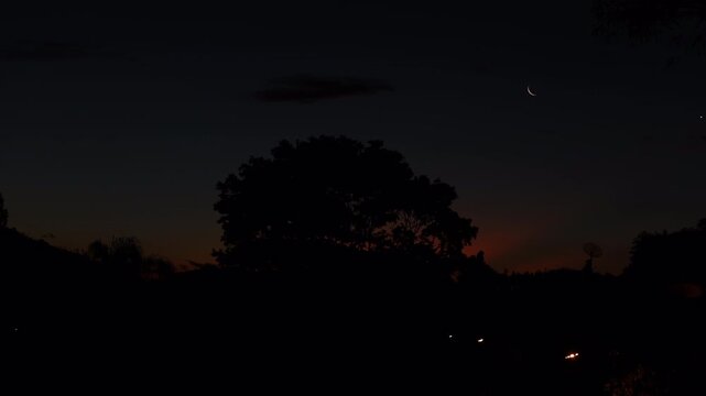 Slhouette of great tree and crescent moon in sky sunset  with beautiful red sky