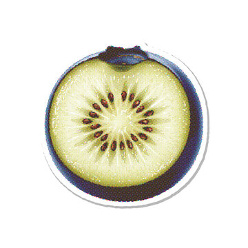 Half kiwi fruit slice with seeds in halftone vector style