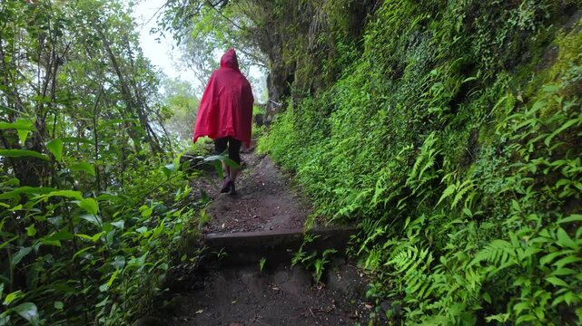 Scenic footage of a trekker climbing on the slopes of Cirque du Salazie towards Cap Anglais and Piton des Neiges, Reunion Island, France, Indian Ocean
