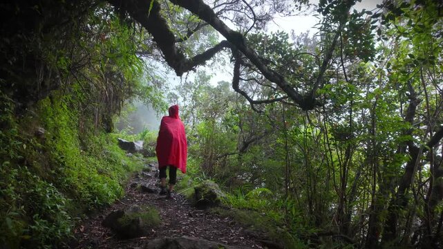 Scenic footage of a trekker climbing on the slopes of Cirque du Salazie towards Cap Anglais and Piton des Neiges, Reunion Island, France, Indian Ocean