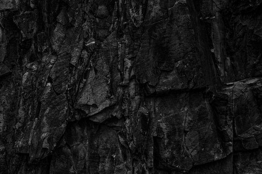  Textura de corteza de &aacute;rbol natural oscura y rugosa. Superficie de madera org&aacute;nica de color negro intenso; transmite naturaleza r&uacute;stica, fuerza y naturaleza salvaje.