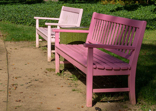 Bright pink painted wooden benches standing beside pathway surrounded by green lawn and flower bed on a sunny summer day