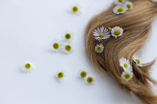 Hair with flowers. Closeup, selective focus.