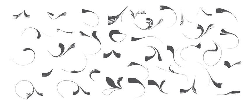 Vintage decorative flourish set, elegant black swirl ornaments, 32 calligraphic vector elements for wedding invitations and luxury branding