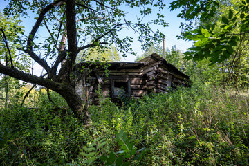 Stary niszczejący drewniany budynek  © Maciej G. Szling