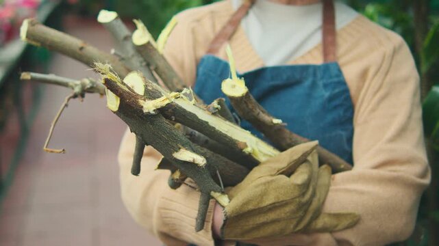 Elderly woman holding branches in a greenhouse while preparing for gardening activities