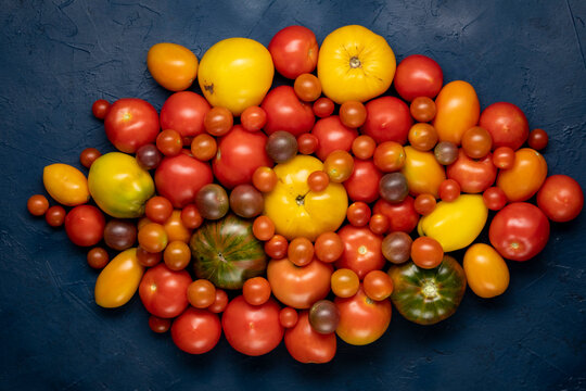 Close up of tomatoes different kind and colors. Mix of multicolored kind of tomatoes background. Top view, flat lay