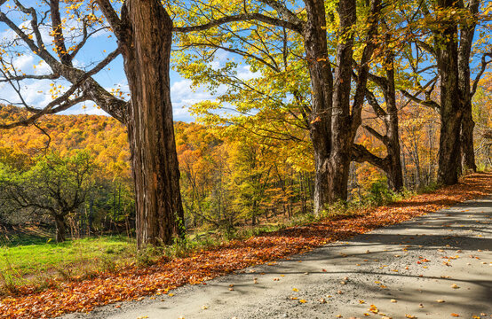 Autumn color along Old Kings Highway in Vermont