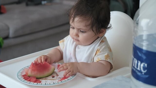 Cute baby girl sitting in high chair exploring and eating fresh watermelon slice, baby led weaning