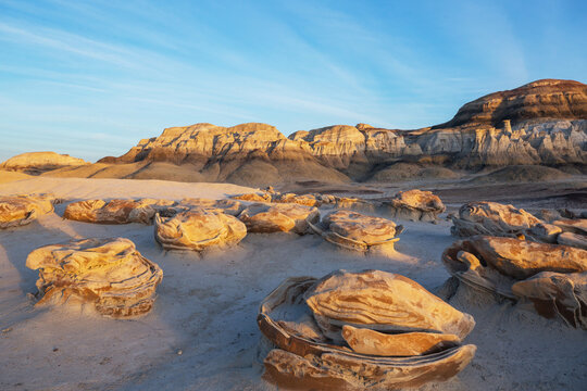 Bisti