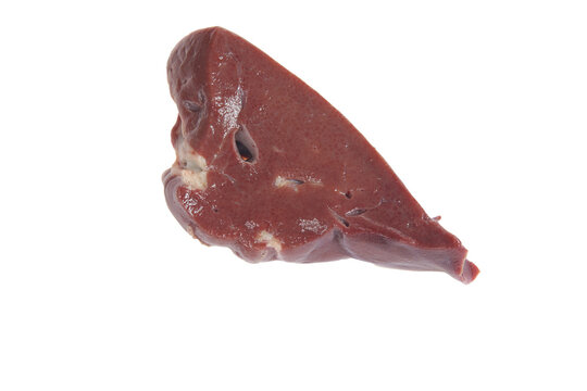 Pig liver on white background