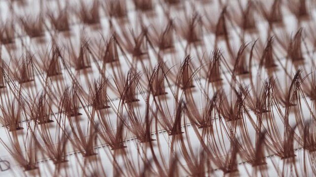 False eyelashes extension set with brown lashes, closeup. Makeup accessories