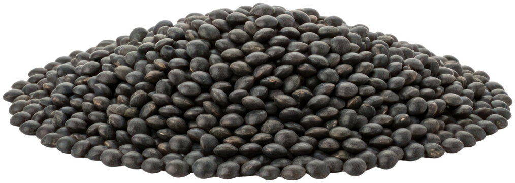 Heap of black beluga lentils on black background.