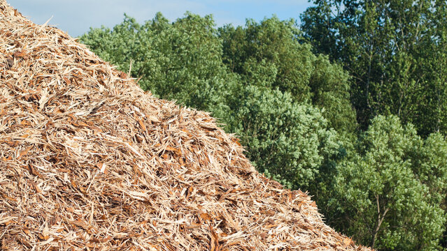 The photo shows wood chips against a backdrop of blue sky and green trees