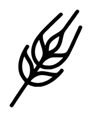 Obraz premium Agricultural ear of barley displaying alternating plump grain kernels and long slender awn bristles along a central stem, organic cereal vector icon isolated on a plain white background
