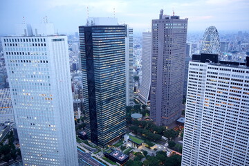 夕暮れ時の西新宿の高層ビル群を見下ろす俯瞰の風景。オフィスビルが立ち並ぶ都会の街並みと、独創的なデザインのモード学園コクーンタワーが空に映える。 © BRUCE