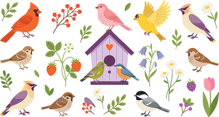 Fototapeta premium Cute Garden Birds Vector Illustration Set with Wooden Birdhouse Spring Flowers Berries and Colorful Avian Wildlife Elements