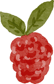 Watercolor illustration of a ripe raspberry with two green leaves isolated on a transparent background fresh fruit concept