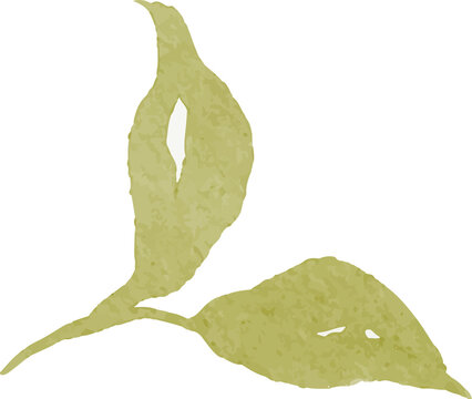 Abstract watercolor illustration of two green leaves on a branch minimalist organic design